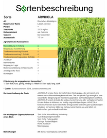 ARVICOLA, t. Deutsches Weidelgras - Lolium perenne