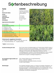 AUBADE, t. Einjähriges Weidelgras - Lolium multiflorum ssp. westerwoldicum