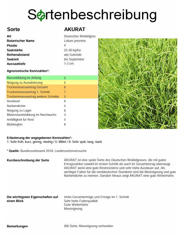 AKURAT, t. Deutsches Weidelgras - Lolium perenne