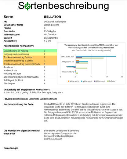 BELLATOR, t. Deutsches Weidelgras - Lolium perenne
