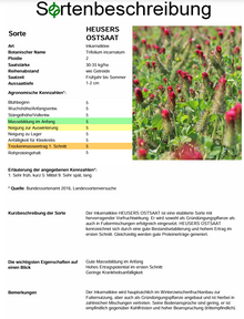 HEUSERS OSTSAAT Inkarnatklee - Trifolium incarnatum