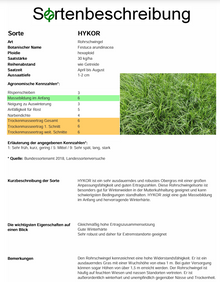 HYKOR Rohrschwingel - Festuca arundinacea