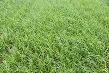 ProGreen FU 2