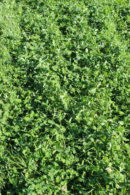 MehrGras FE 540