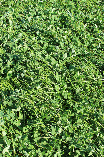 MehrGras FE 320