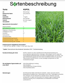 KUPOL Wiesenrispe - Poa pratensis