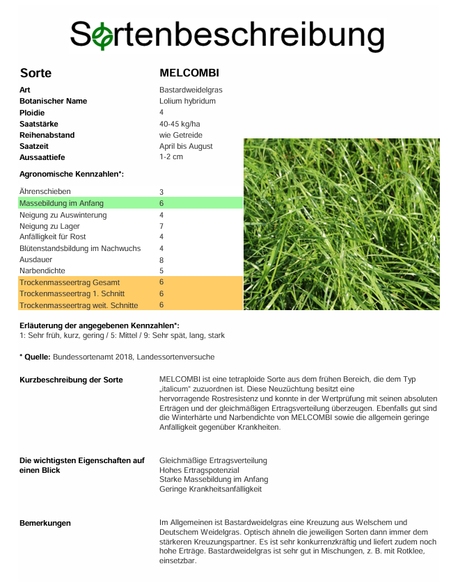 MELCOMBI, t. Bastardweidelgras - Lolium hybridum