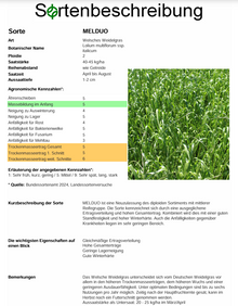 MELDUO, d. Welsches Weidelgras - Lolium multiflorum ssp. italicum