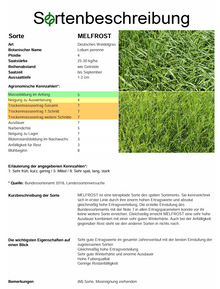 MELFROST, t. Deutsches Weidelgras - Lolium perenne