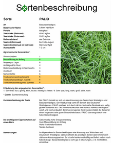 PALIO, t. Bastardweidelgras - Lolium hybridum