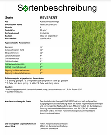 REVERENT Rotschwingel - Festuca rubra rubra