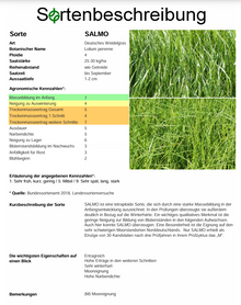 SALMO, t. Deutsches Weidelgras - Lolium perenne