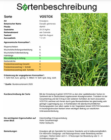VOSTOX (spät) Knaulgras - Dactylis glomerata