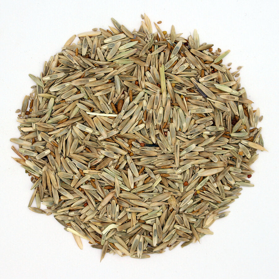 ProGreen® 2 mit Klee: Saatgutmischung