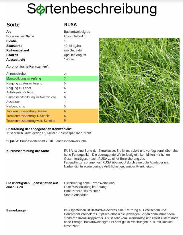 RUSA, t. Bastardweidelgras - Lolium hybridum