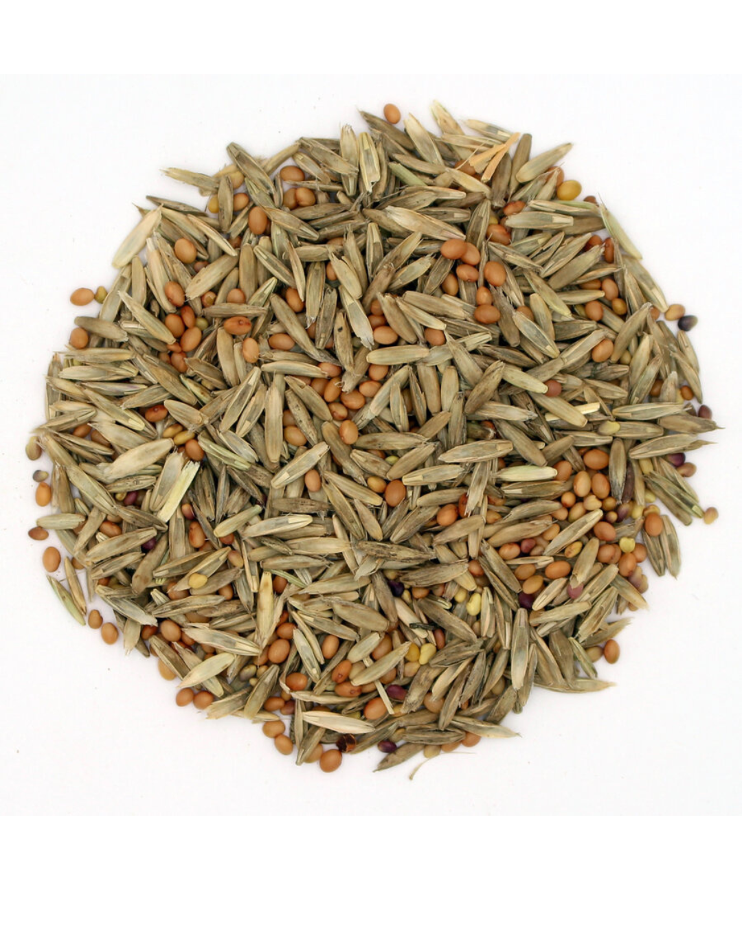 Terra Gold TG 17 FutterStar Saatgutmischung im gelieferten Zustand