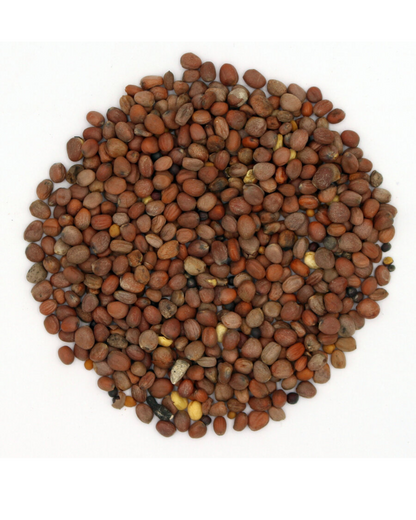 Terra Gold TG 5 Biofum Saatgutmischung im gelieferten Zustand